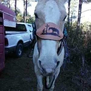 Meet your Posher, Savannah